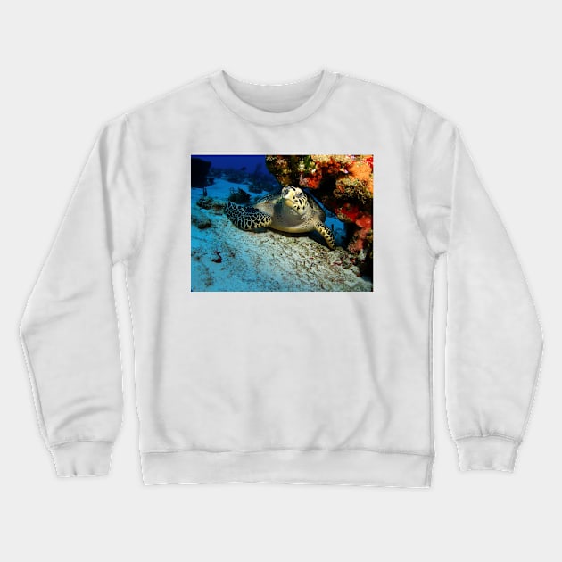 Hawksbill Turtle Under A Coral Ledge Crewneck Sweatshirt by jbbarnes